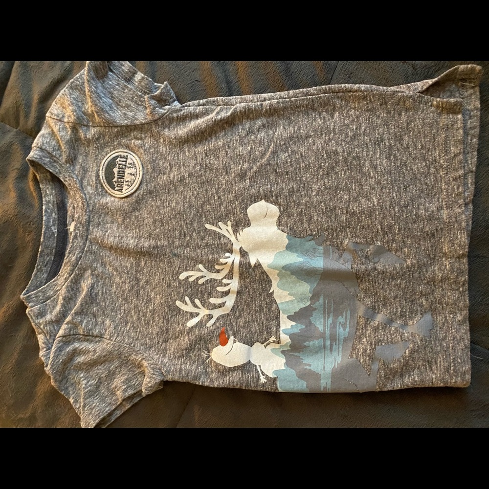 Frozen 2T t-shirt